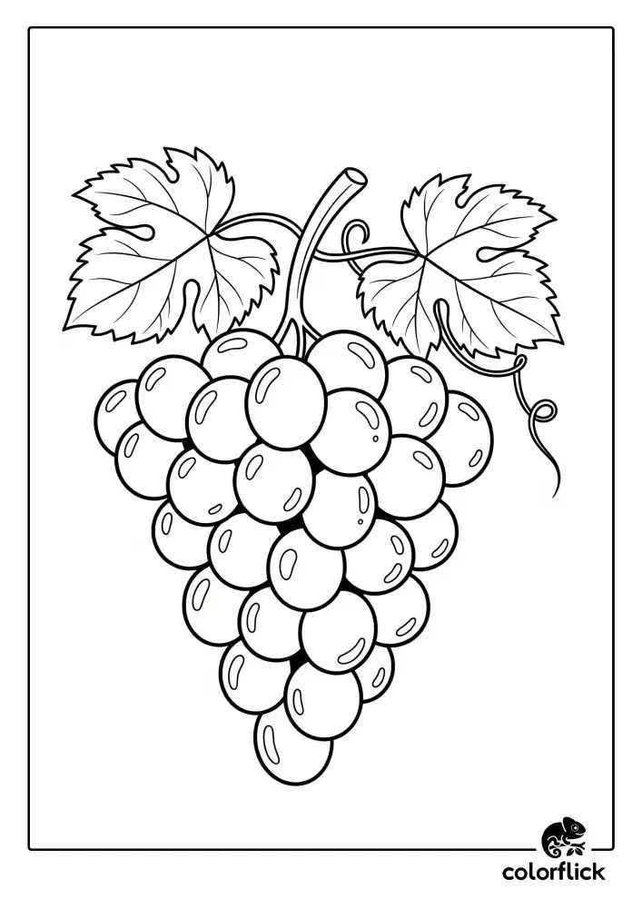 A black and white coloring page of a large, plump bunch of grapes hanging from a vine with two leaves.