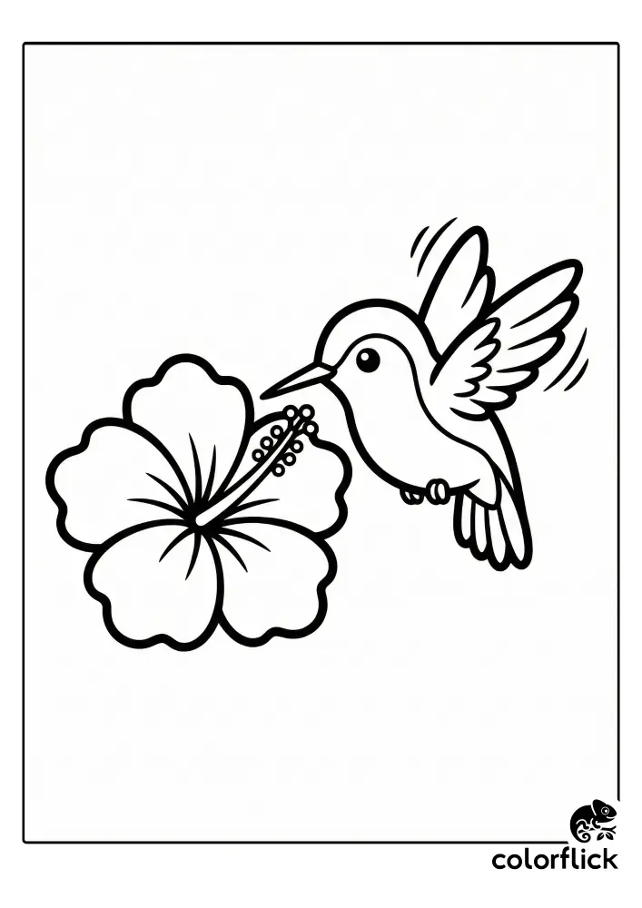A cute coloring page showing a cartoon hummingbird hovering and drinking nectar from a large hibiscus flower.