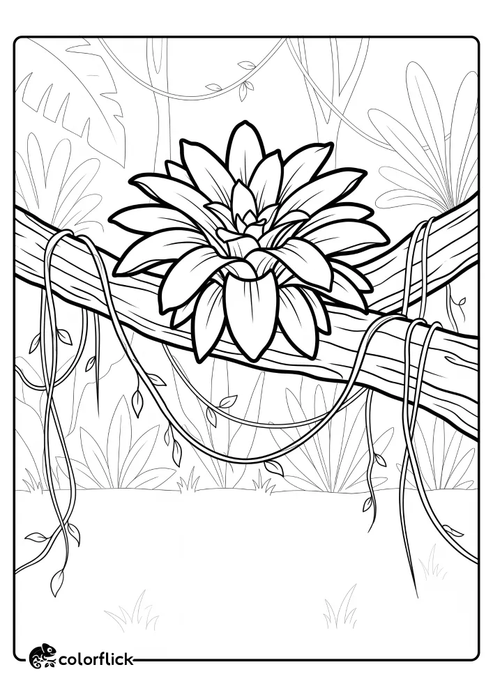 Rainforest Plants Coloring Pages